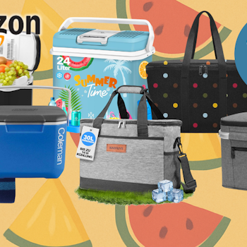 Verschiedene Kühlboxen und Kühltaschen sind vor einem Hintergrund mit Wassermelonen, Erdbeeren und Ananas angeordnet.