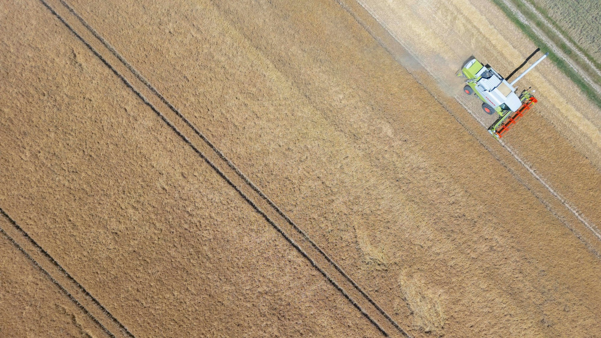 30.06.2025, Hessen, Frankfurt/Main: Mit einem Mähdrescher wird auf einem Feld bei Frankfurt Getreide geerntet (Luftaufnahme mit einer Drohne). Foto: Boris Roessler/dpa +++ dpa-Bildfunk +++