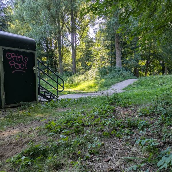 Ein Deich und ein Aufgang zu einer Brücke liegen in einem Wald.