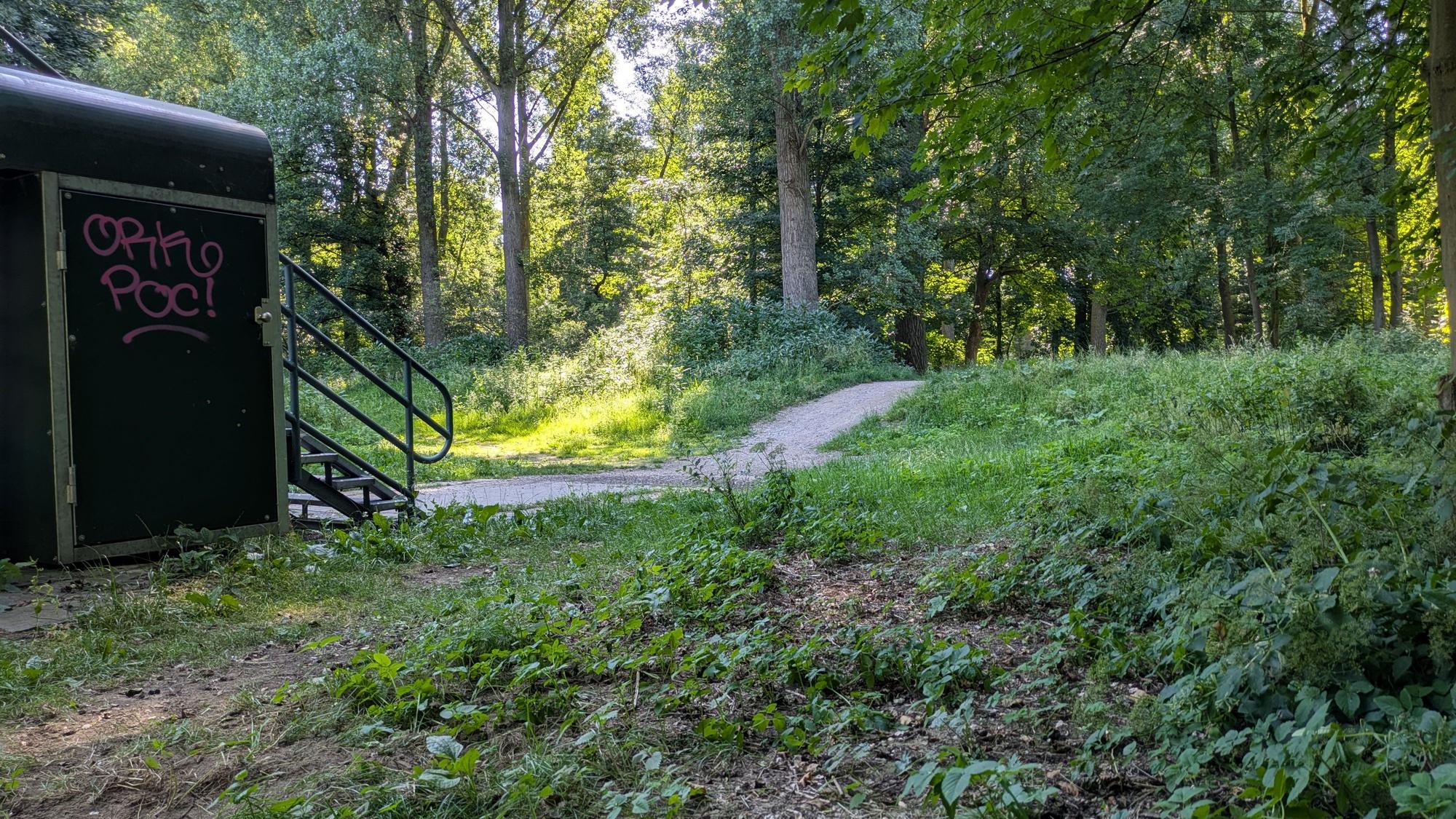 Ein Deich und ein Aufgang zu einer Brücke liegen in einem Wald.