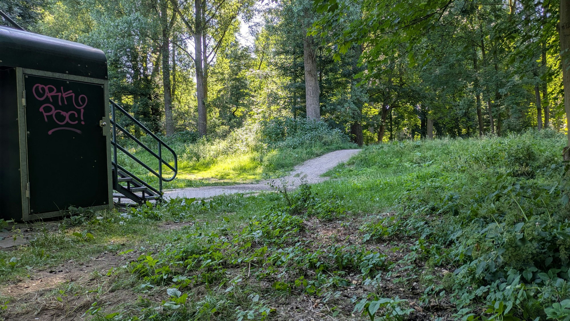 Ein Deich und ein Aufgang zu einer Brücke liegen in einem Wald.