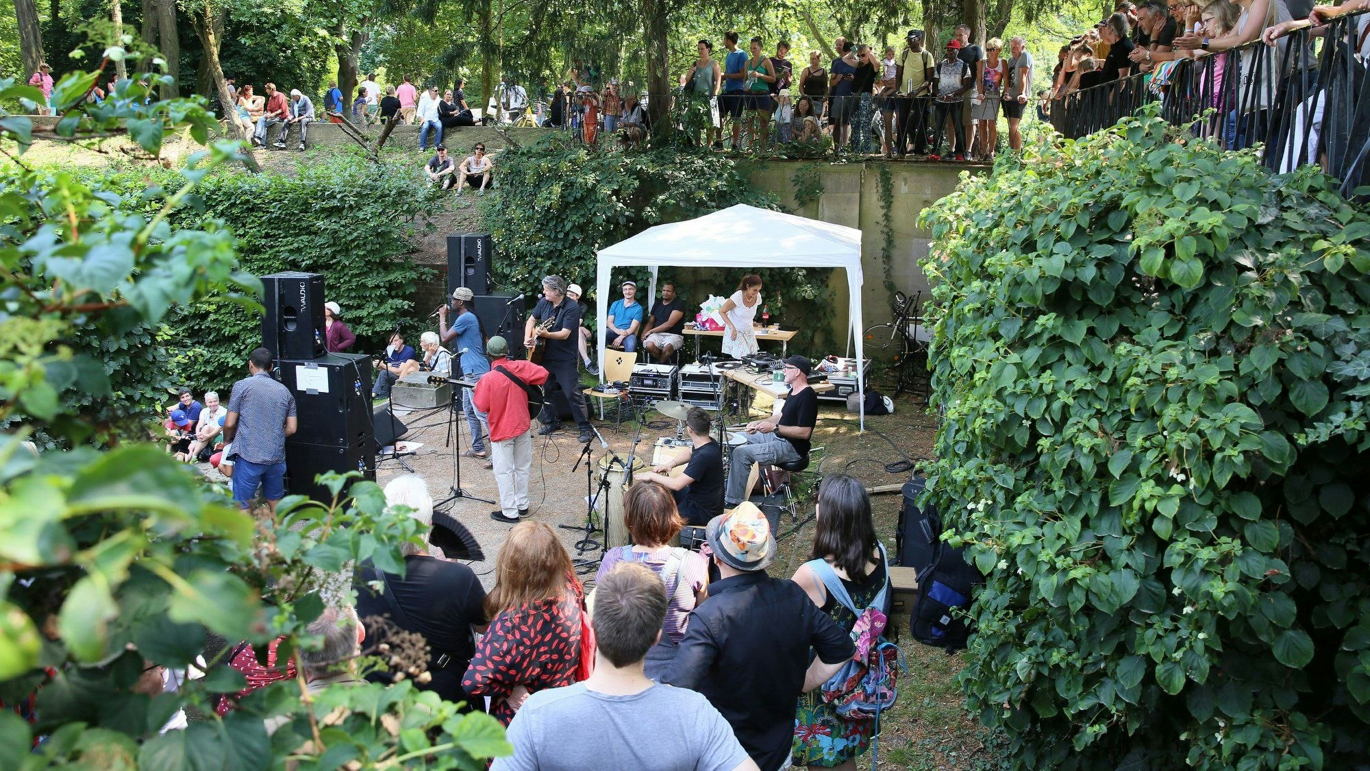 Musiker beim Edelweißpiratenfestival. Es findet schon seit vielen Jahren im Friedenspark statt.