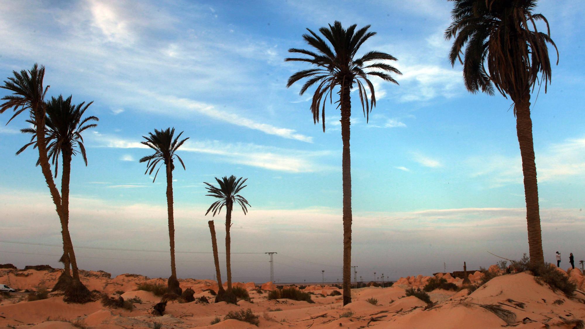 Die Debabcha-Zone in Souk Al-Ahad im Gouvernement Kebili.