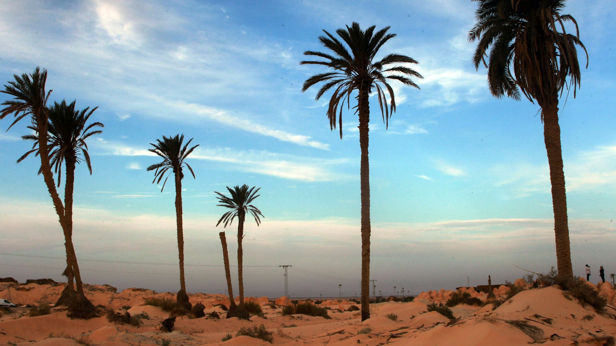 Die Debabcha-Zone in Souk Al-Ahad im Gouvernement Kebili.