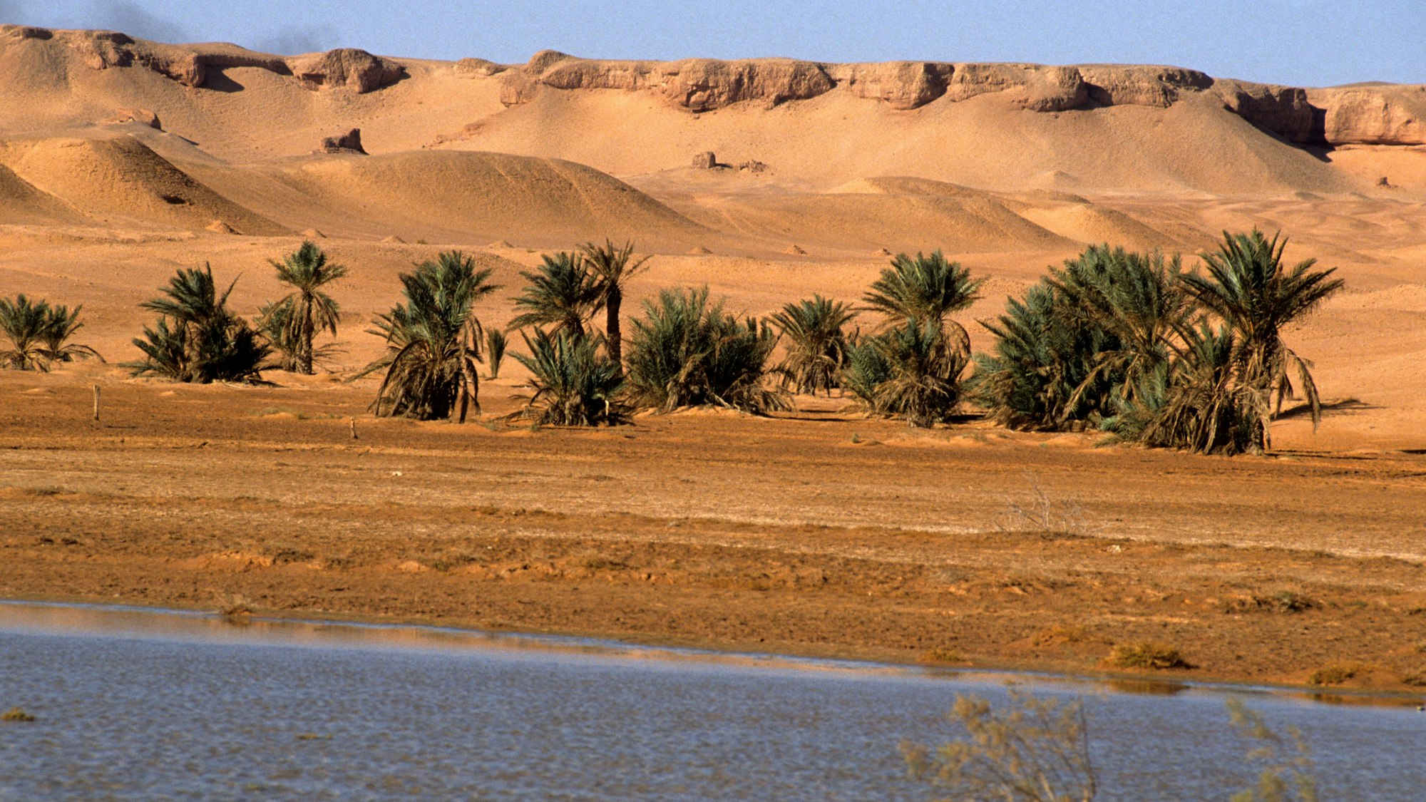 Ouargla ist bekannt für seine Oasen, Dattelpalmen und traditionellen Lehmarchitekturen.