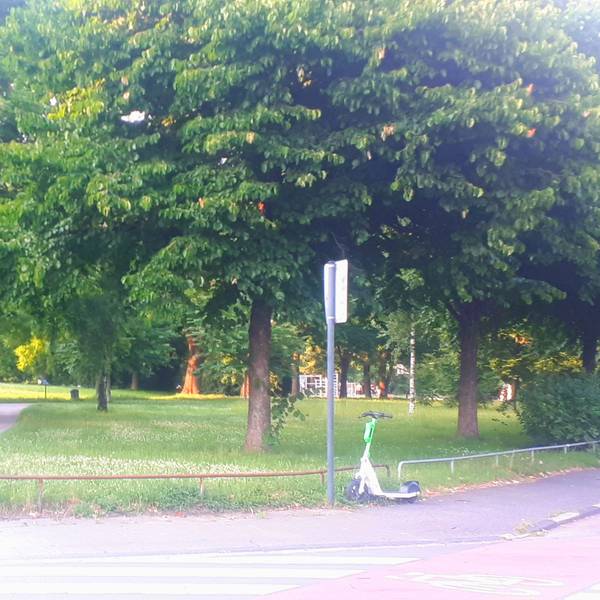 Eine Stelle im Lohsepark in Nippes. Zu sehen sind Bäume und Wiese an einer Straße. Am Wegrand steht ein Fahrrad und ein E-Scooter.