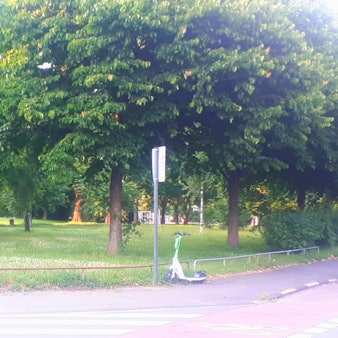 Eine Stelle im Lohsepark in Nippes. Zu sehen sind Bäume und Wiese an einer Straße. Am Wegrand steht ein Fahrrad und ein E-Scooter.