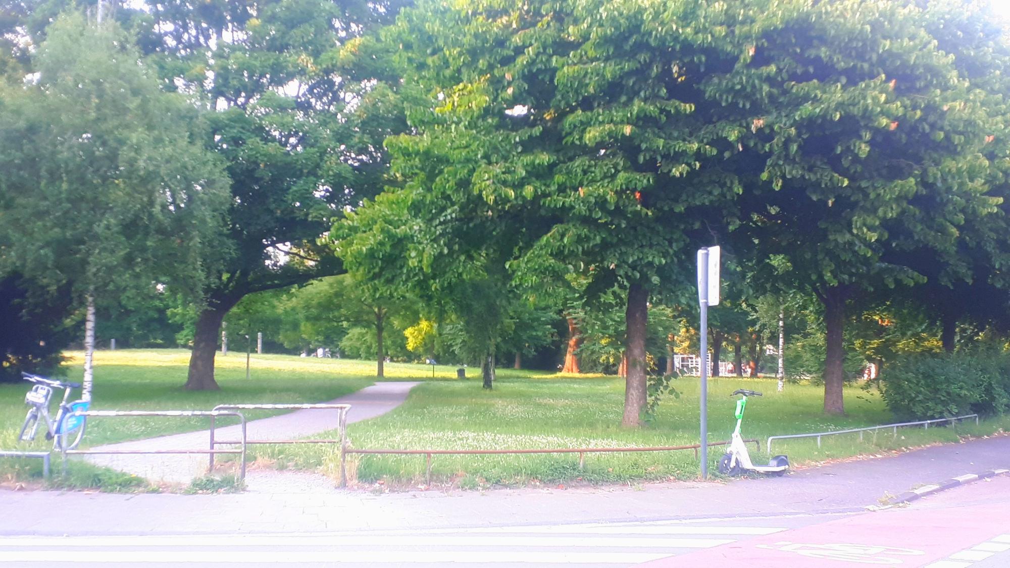 Eine Stelle im Lohsepark in Nippes. Zu sehen sind Bäume und Wiese an einer Straße. Am Wegrand steht ein Fahrrad und ein E-Scooter.