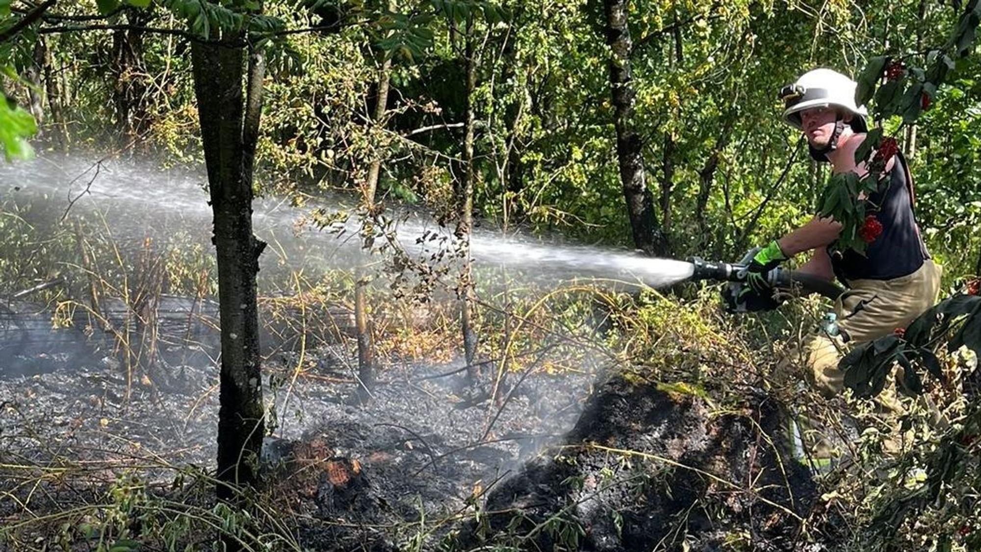 Feuerwehrmann geht gegen die Flammen vor.