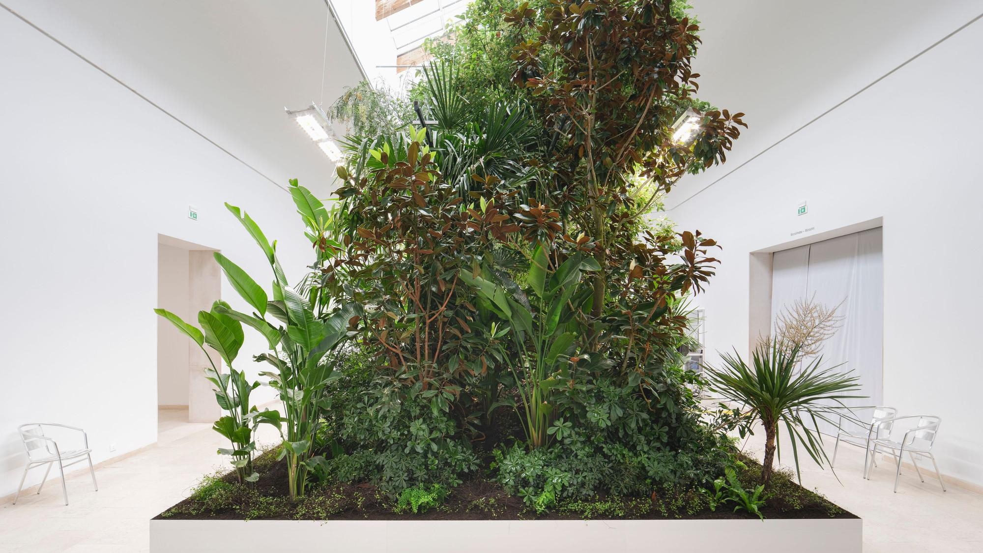 Building Biospheres by Bureau Bas Smets with Stefano Mancuso, Flanders Architecture Institute 2025