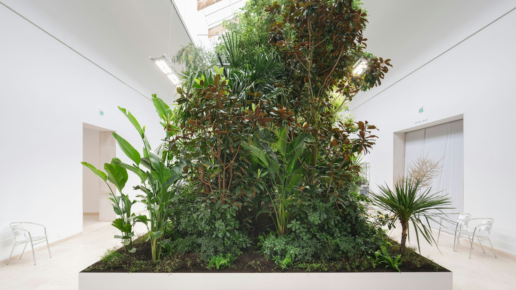 Building Biospheres by Bureau Bas Smets with Stefano Mancuso, Flanders Architecture Institute 2025