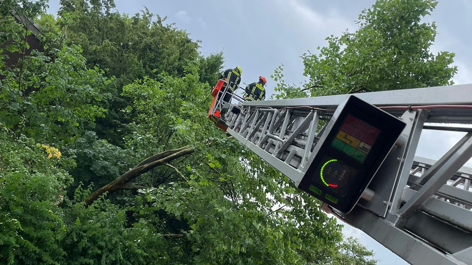Von der Drehleiter aus sägten Feuerwehrleute Äste ab, die herunterzufallen drohten.