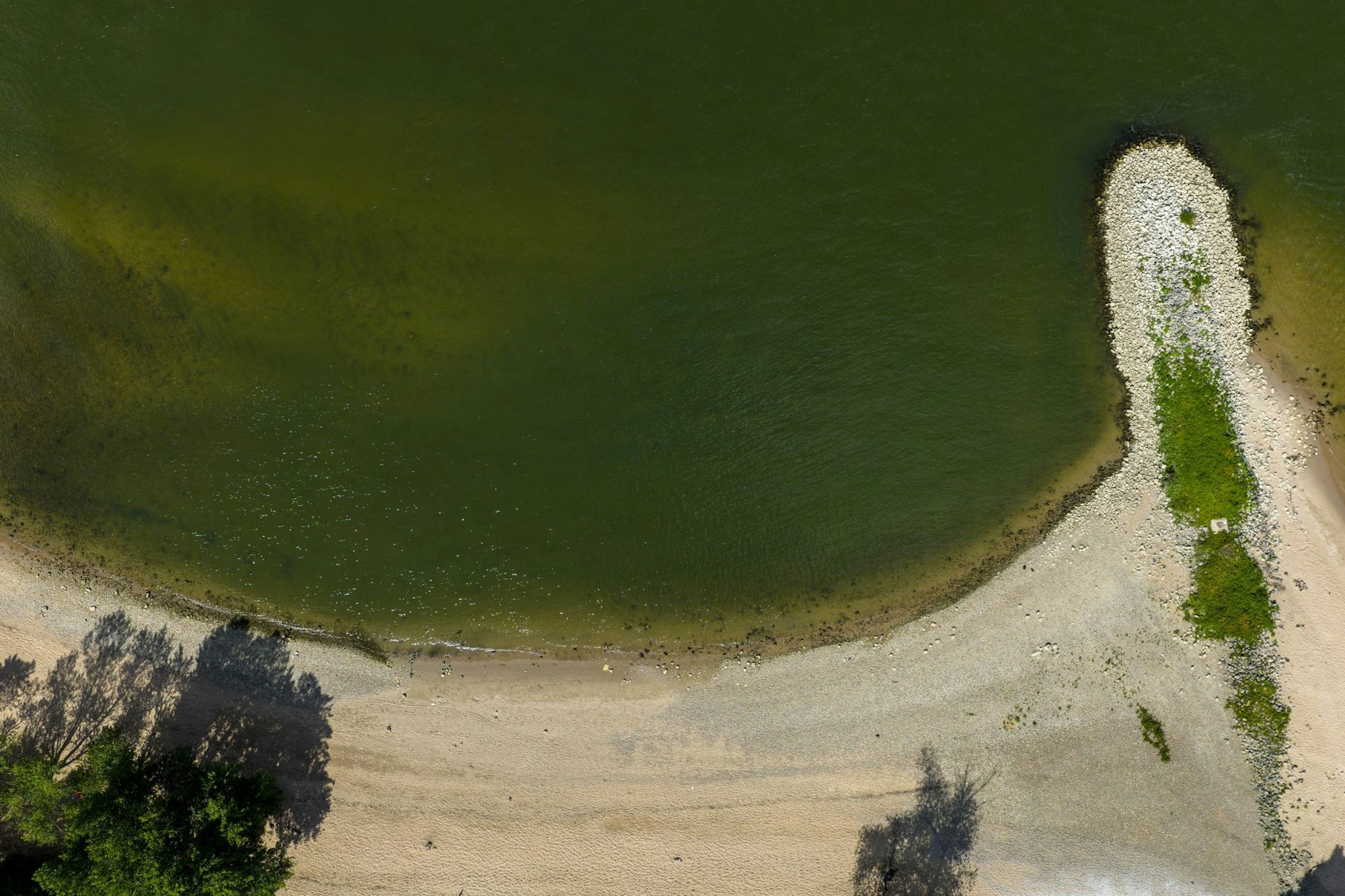 An diesem kleinen Strandabschnitt bei Rheinkilometer 729 in Himmelgeist ist am Vorabend ein sechs Jahre alter Junge im Rhein abgetrieben worden.