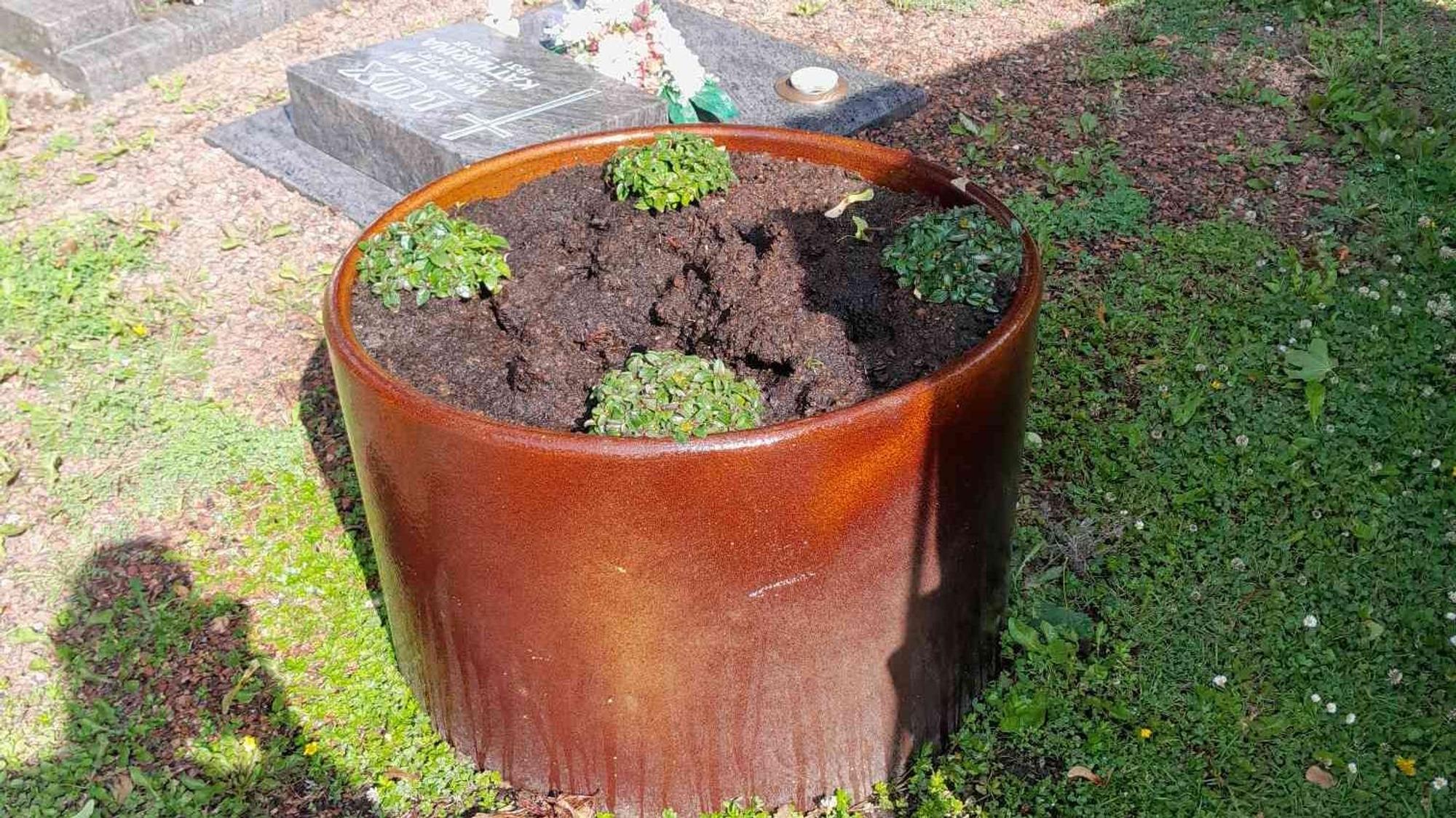 Auf dem Bild ist ein Blumenkübel zu sehen, aus dem Pflanzen ausgebuddelt wurden.
