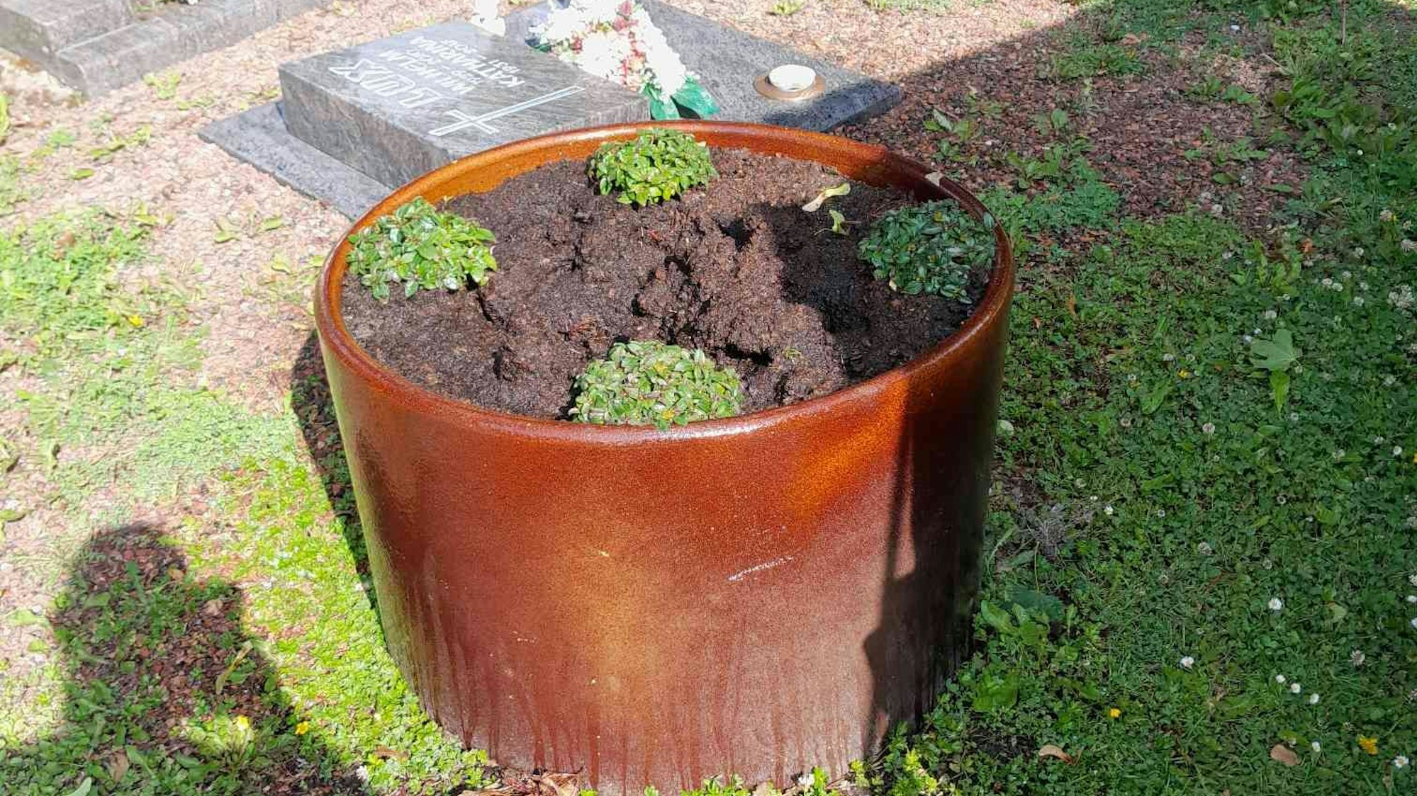 Auf dem Bild ist ein Blumenkübel zu sehen, aus dem Pflanzen ausgebuddelt wurden.