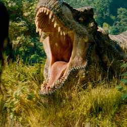 Eine Szene des Films «Jurassic World: Die Wiedergeburt» - Ein Dino reißt sein Maul weit auf.