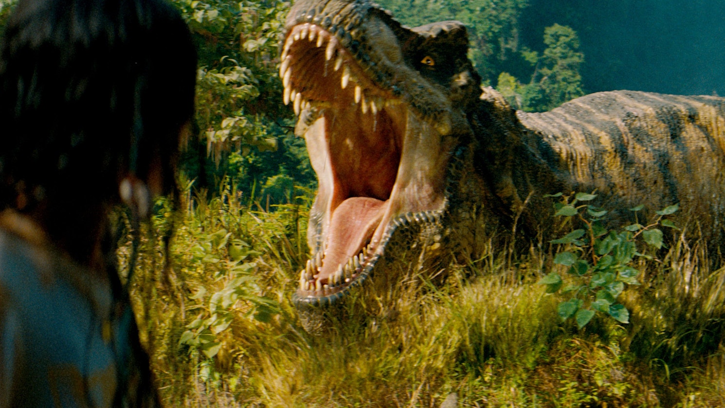 Eine Szene des Films «Jurassic World: Die Wiedergeburt» - Ein Dino reißt sein Maul weit auf.