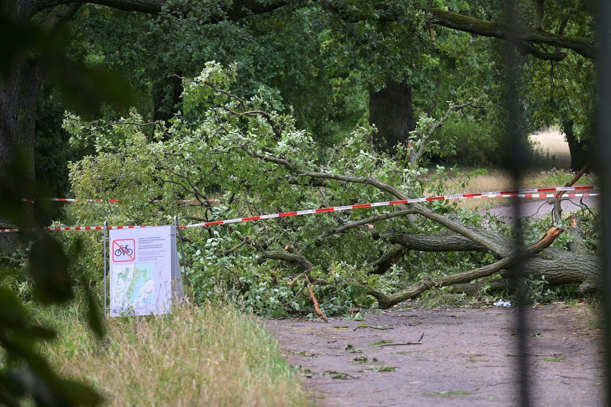 So sah es am 27. Juni im Neuen Garten in Potsdam aus. (Archivbild)