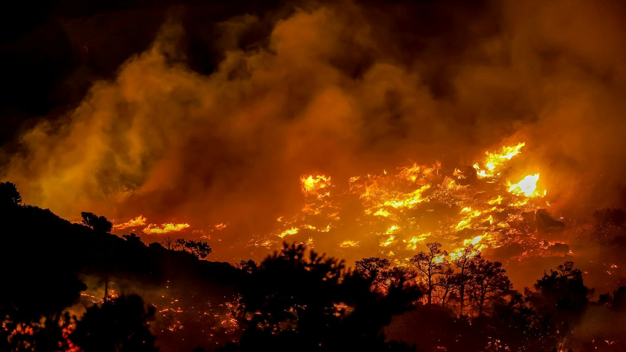 Wegen starker Winde breiteten sich die Flammen rasch aus.