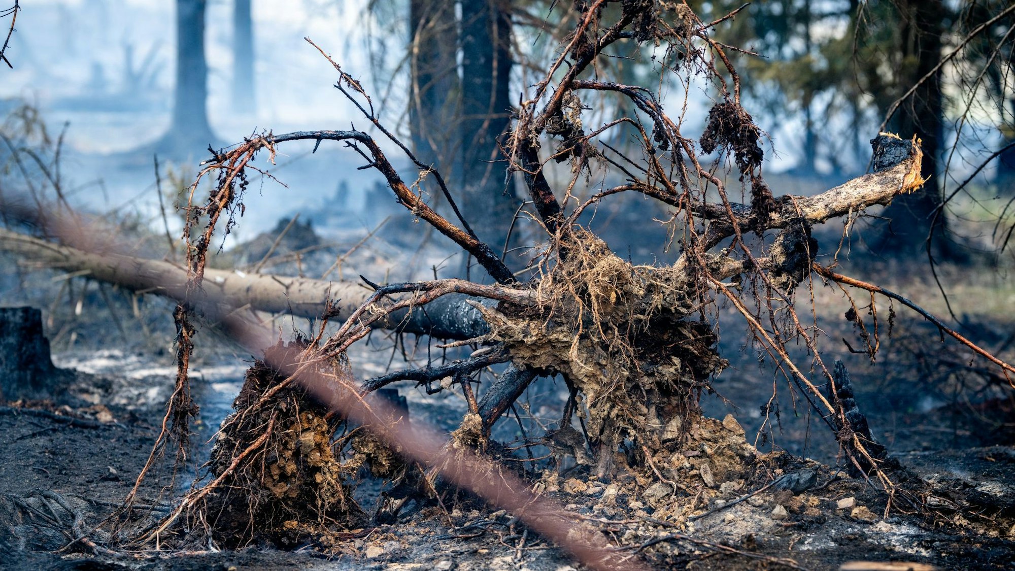Mindestens 250 Hektar Wald sind in Thüringen von dem Brand betroffen.