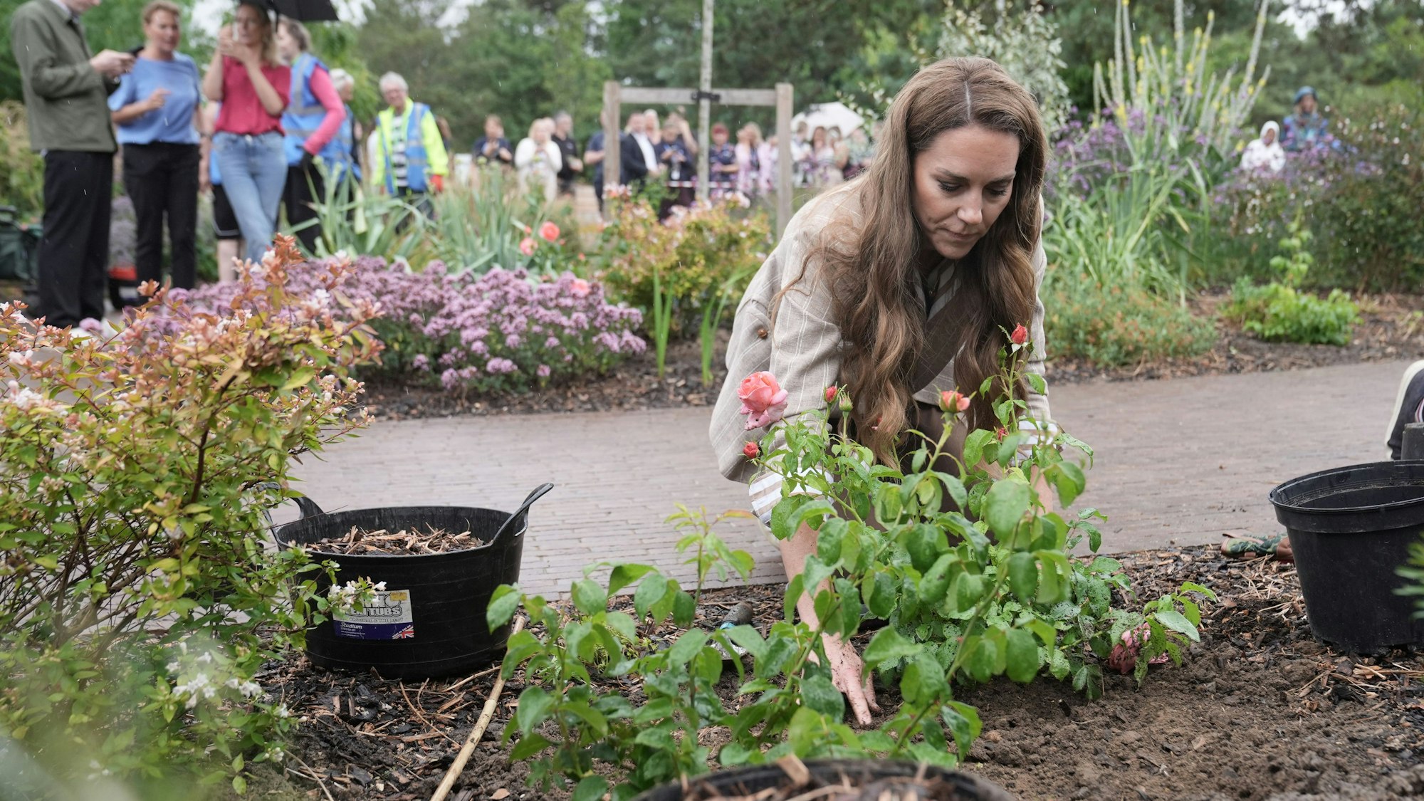 Prinzessin Kate, Prinzessin von Wales, pflanzt eine Rose während eines Besuchs im Wohlfühlgarten der RHS im Colchester Hospital in Essex.