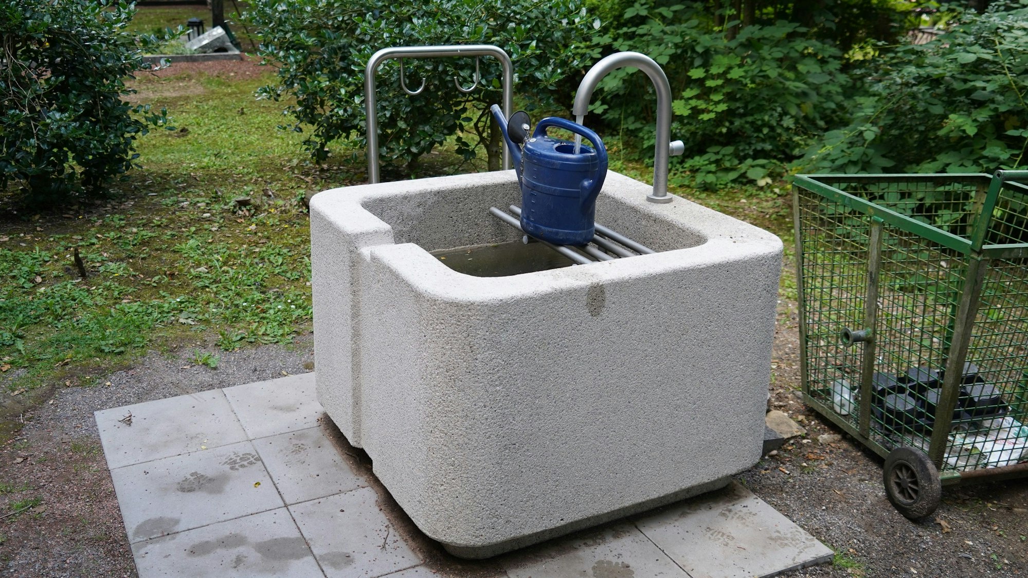 Auf dem Bild ist ein graues Stein-Wasserbecken mit einer blauen Gießkanne zu sehen.