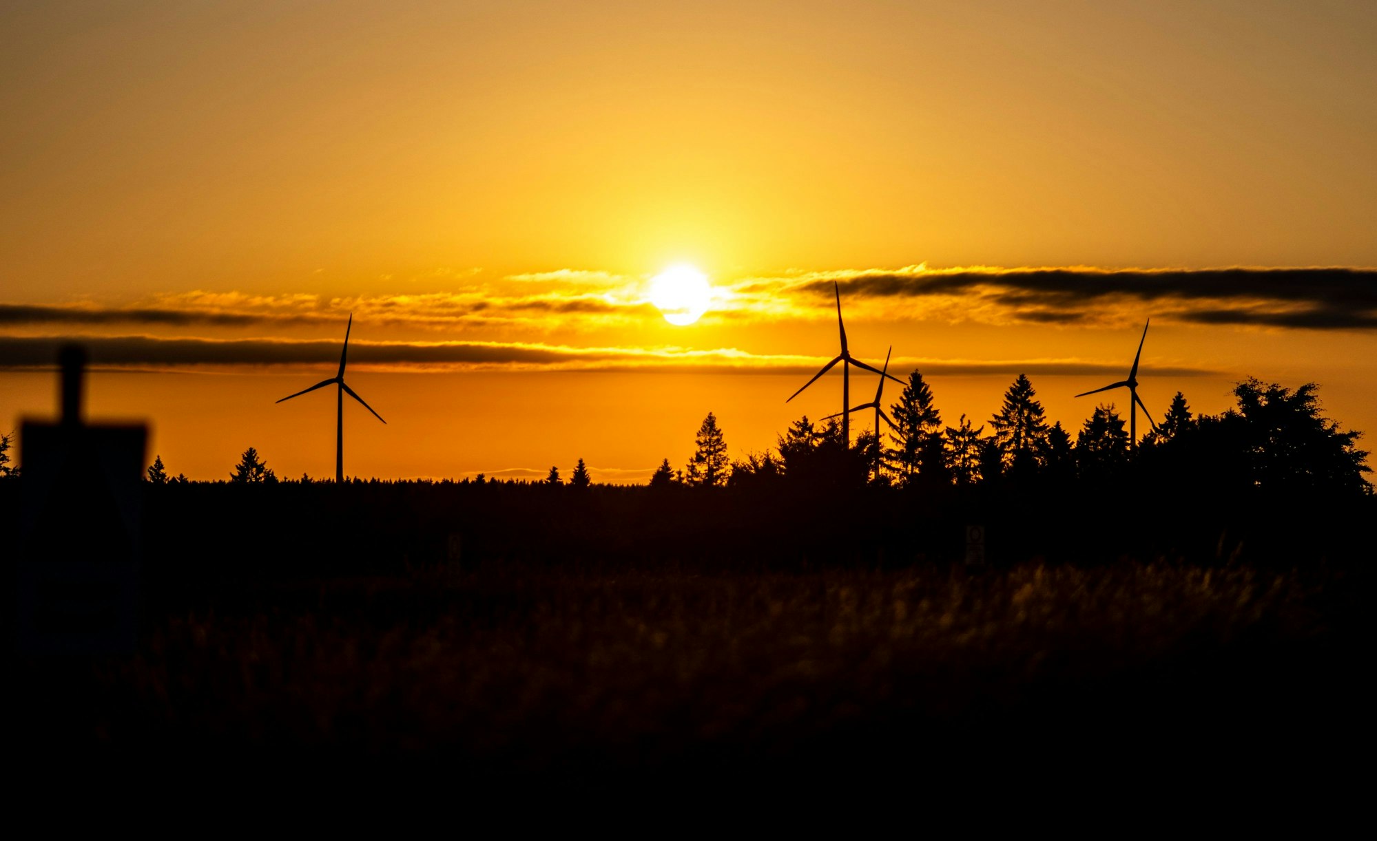 Umrisse von Windrädern und Bäumen im Sonnenuntergang.