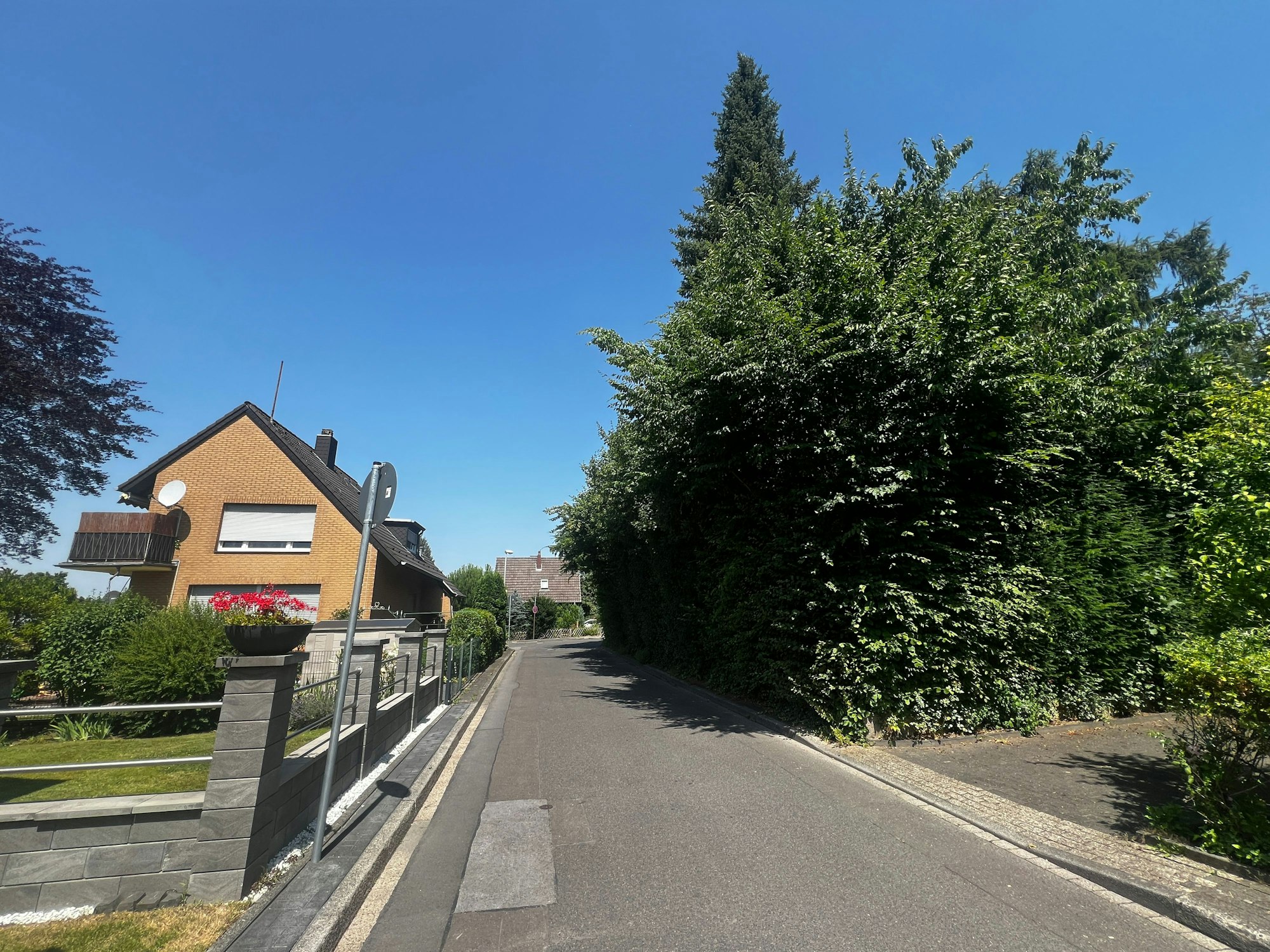 Die geschnittene Hecke am Haus von Benedikt Rees. Bild: Ralf Krieger
