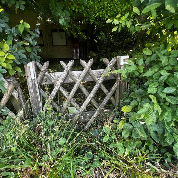 Hausnummer 15, mit etwas gutem Willen kann man sie am Haus von Benedikt Rees erkennen, dennoch bekam er ein Ordnungsgeld.