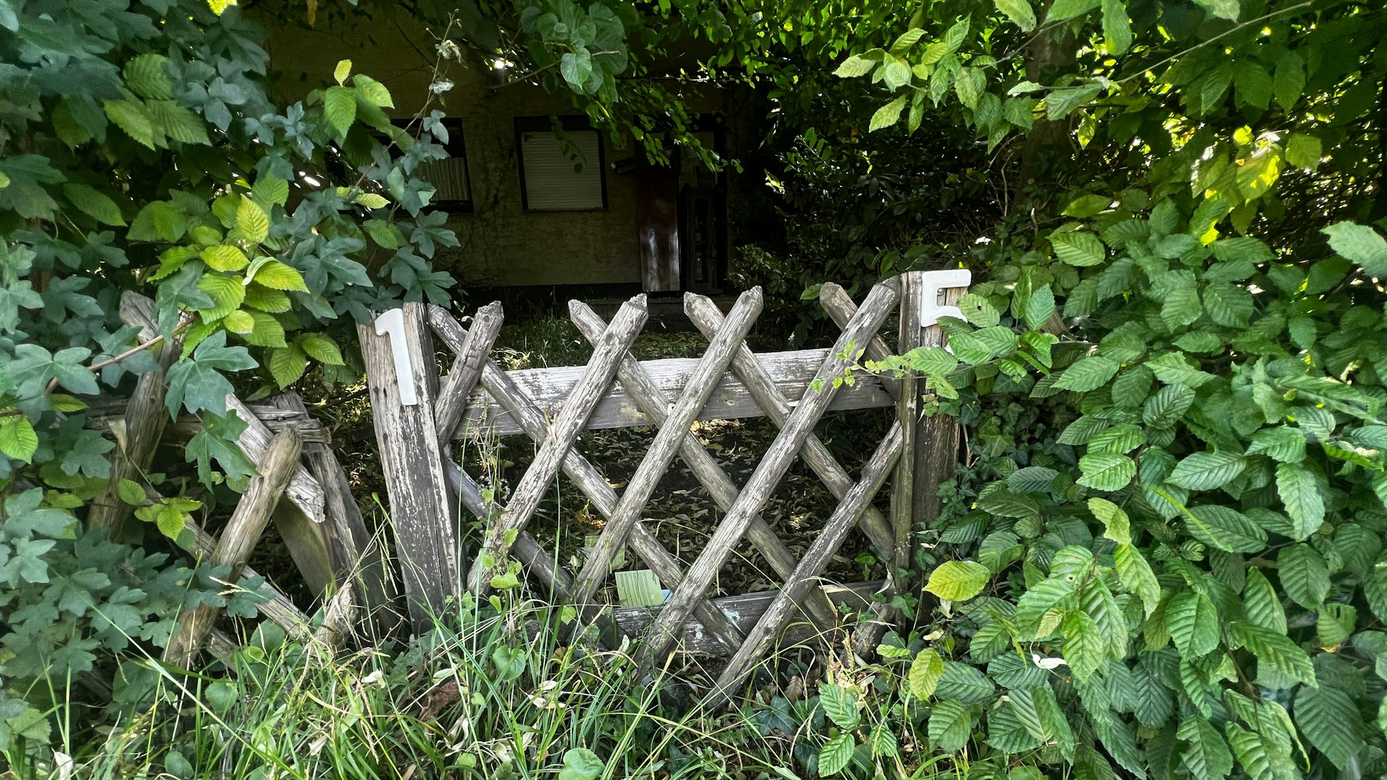 Hausnummer 15, mit etwas gutem Willen kann man sie am Haus von Benedikt Rees erkennen, dennoch bekam er ein Ordnungsgeld.