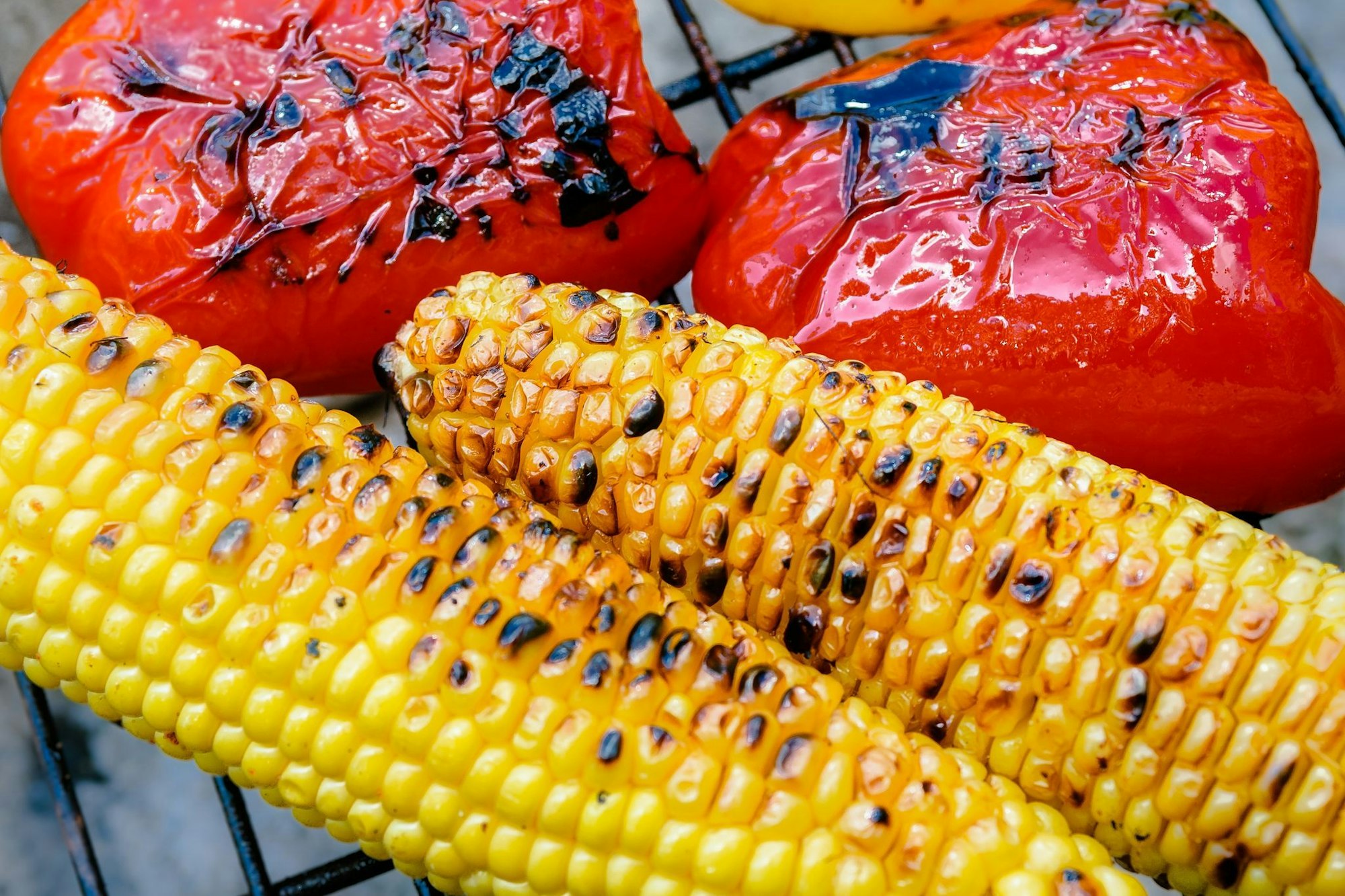 Frischer Mais sollte vor dem Grillen 10 Minuten in kochendem Wasser vorgegart werden. Auf dem Grillrost brutzelt er dann noch weitere 10 Minuten. Dabei öfter umdrehen.