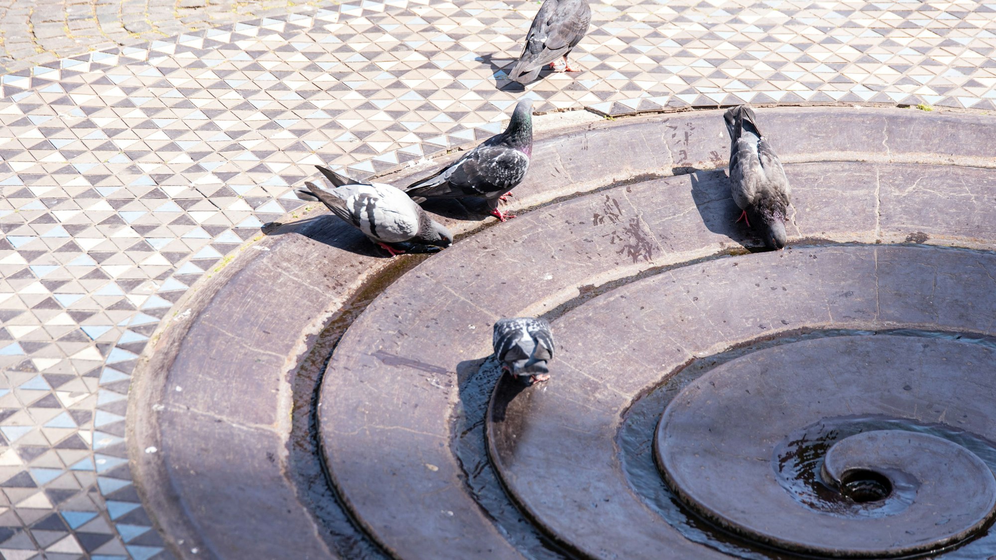 Taubenbrunnen, eine von Ewald Mataré entworfene, und 1953 errichtete Brunnenplastik.