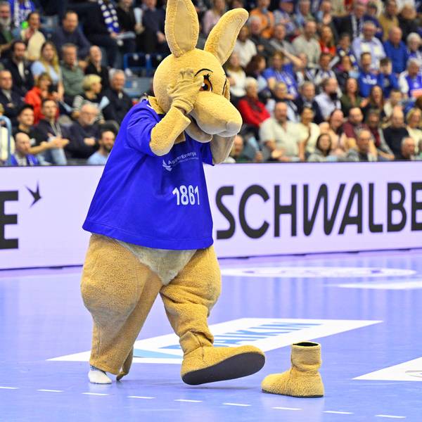 Zu sehen ist das Maskottchen des VfL Gummersbach in der Schwalbe-Arena.