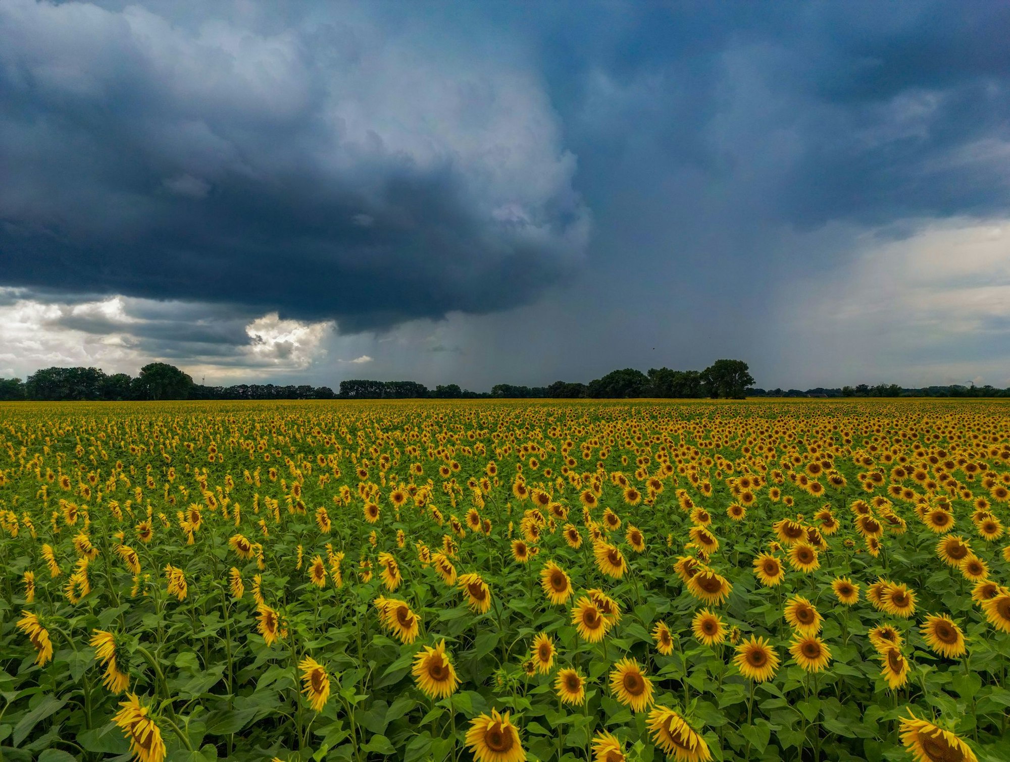 Für die nächsten Tage sind Regenschauer und vereinzelte Gewitter vorhergesagt. Und es wird kälter. (Archivbild)