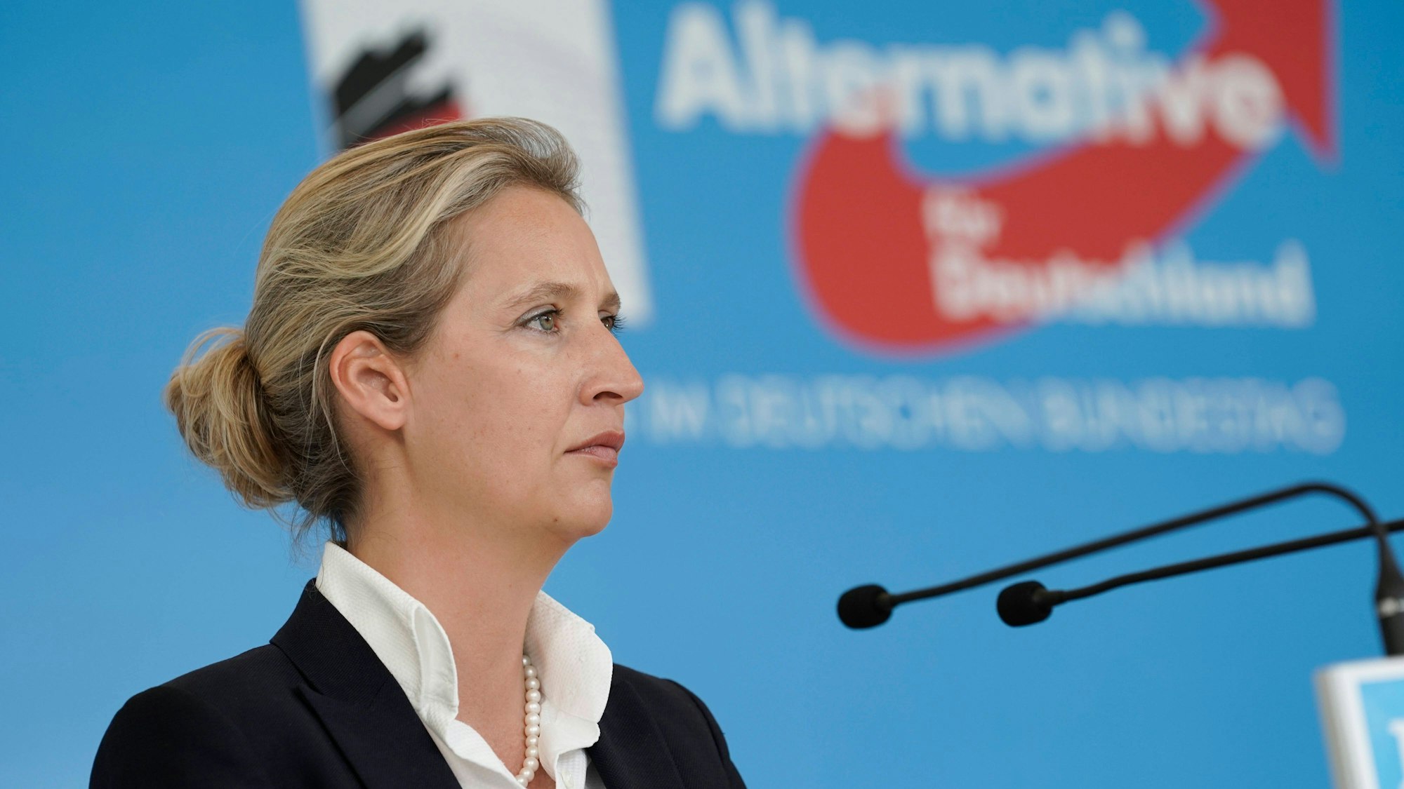 Das Bild zeigt die AfD-Vorsitzende Alice Weidel. Foto: imago images/Political-Moments