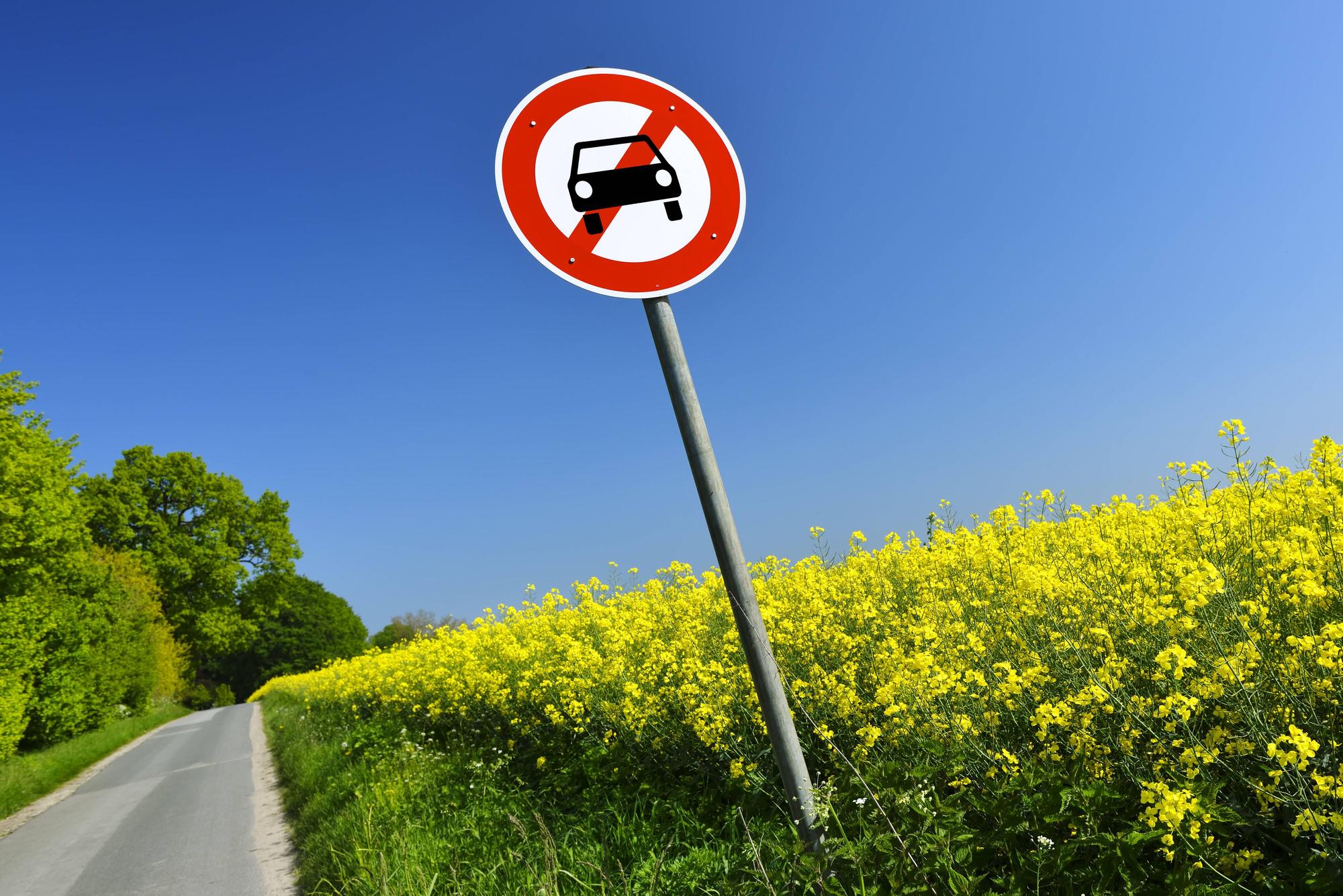 Neben einer Straße steht ein Schild, auf dem ein Auto durchgestrichen ist.