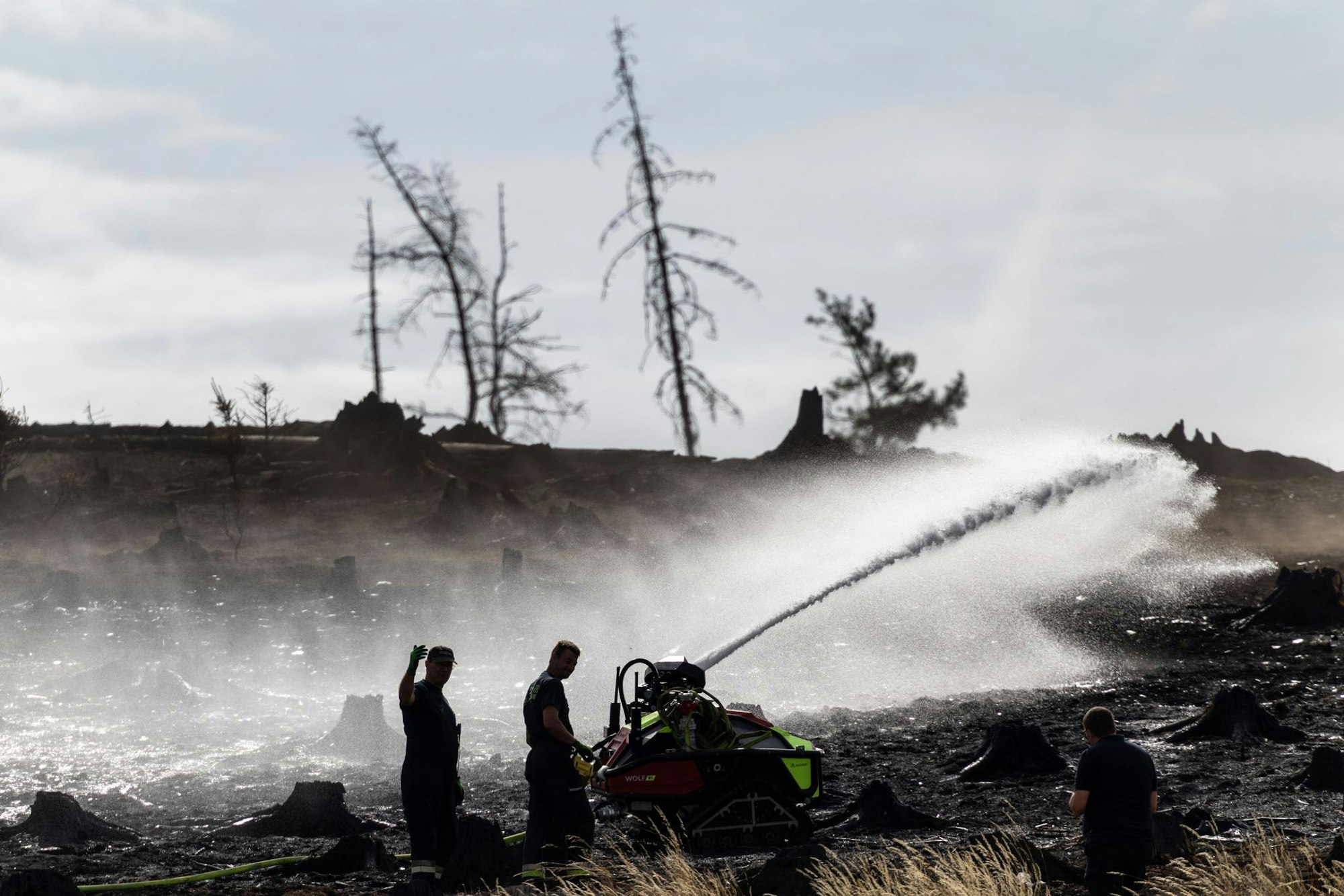 Feuerwehrleute bekämpfen versteckte Glutnester beim Waldbrand auf der Saalfelder Höhe.