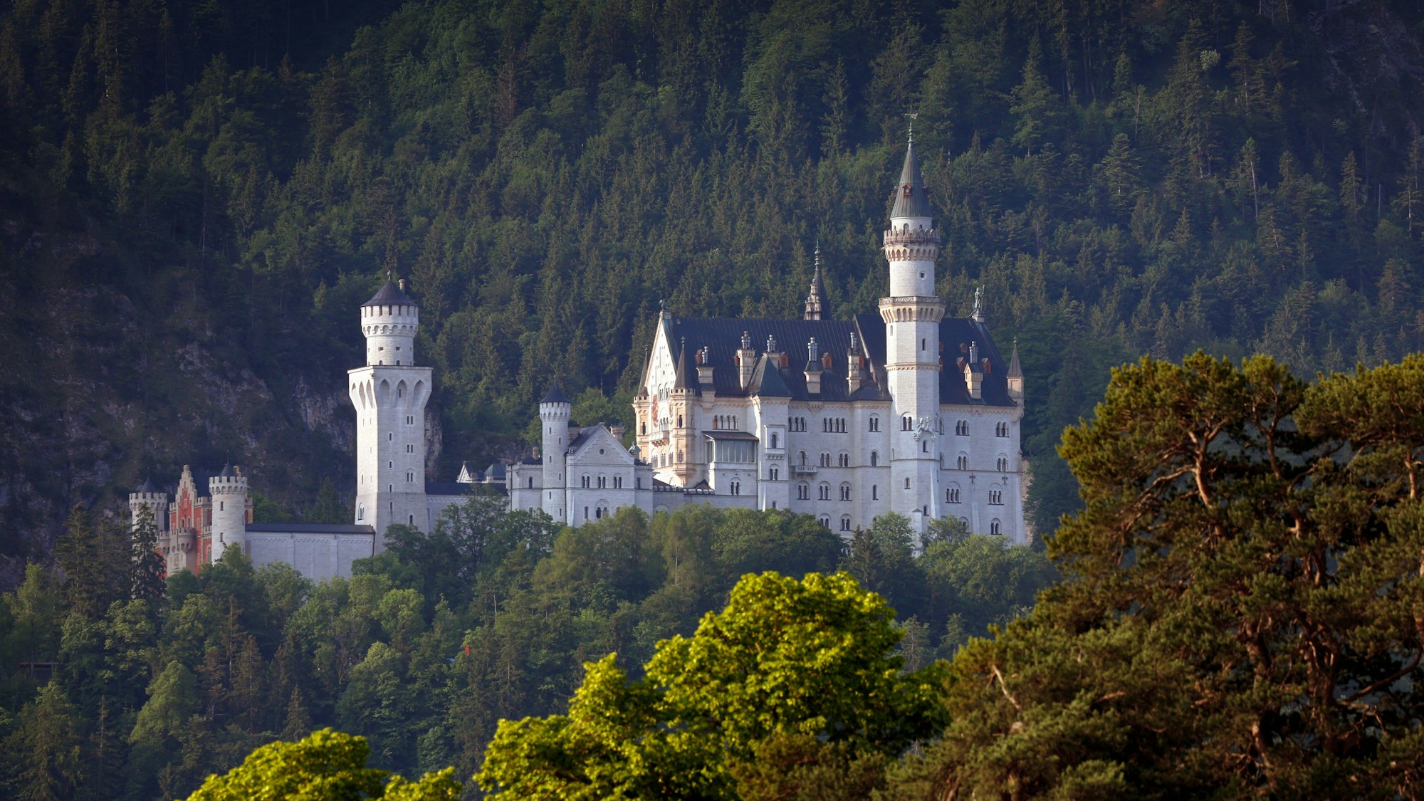 Das Schloss Neuschwanstein im Morgenlicht. (Archivbild)