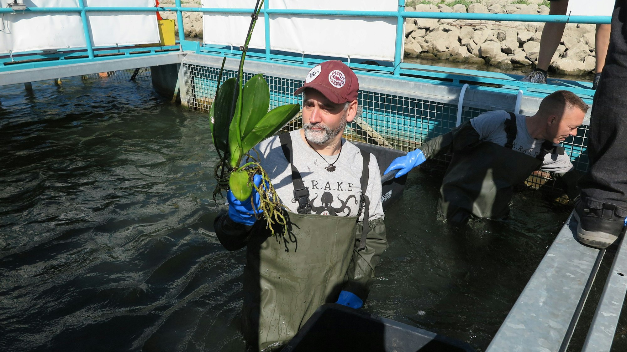 Das Bild zeigt Christian Stock und Kai Hirsch bei der Säuberung der Rheinkrake.