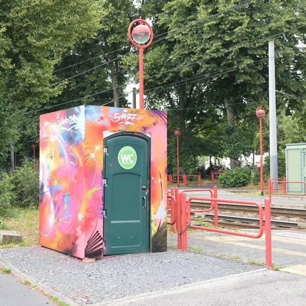 Man sieht das Klo-Häuschen, gestaltet mit grellen Farben.