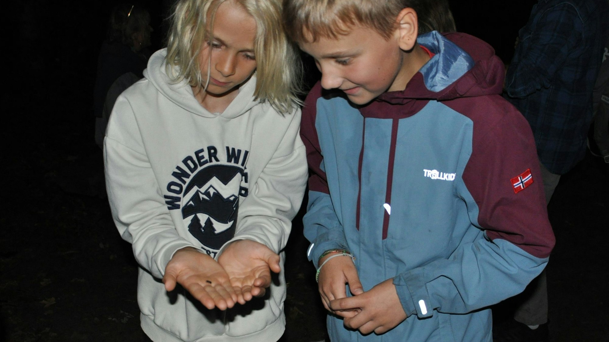 Auf dem Bild sind zwei Jungen zu sehen, die ein Glühwürmchen betrachten, das auf einer Handinnenfläche sitzt.