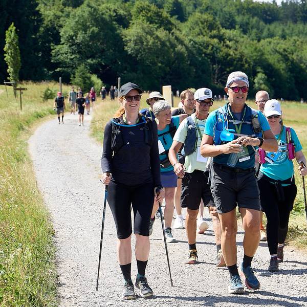 Das Bild zeigt Männer und Frauen in Wandermontur auf einem Weg am Waldrand.
