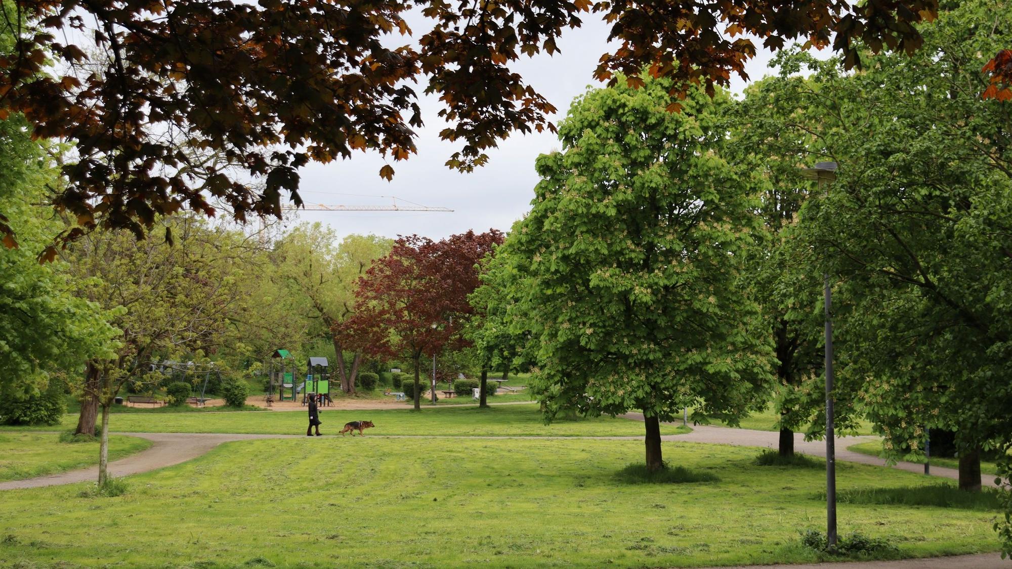 Wiesen und Bäume im Böckingpark, im Hintergrund ist ein Spielplatz.