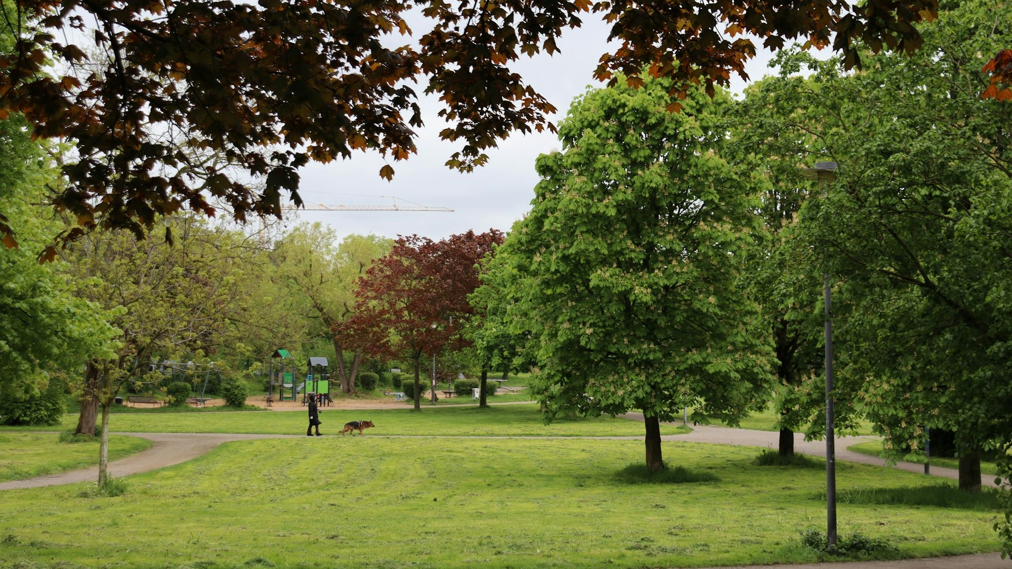 Wiesen und Bäume im Böckingpark, im Hintergrund ist ein Spielplatz.