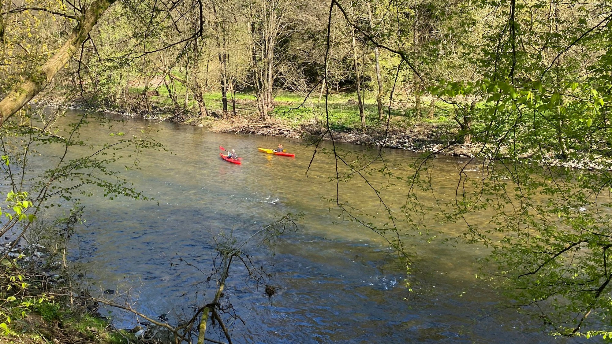 Zwei Kanuten auf der Wupper.