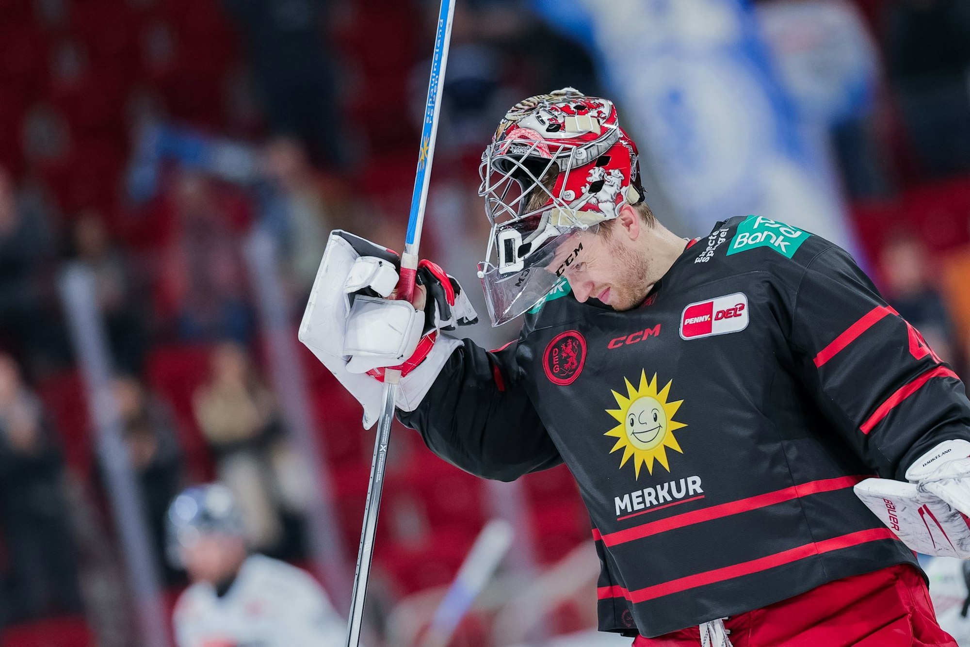 Torhüter Henrik Haukeland wechselt nach Straubing.