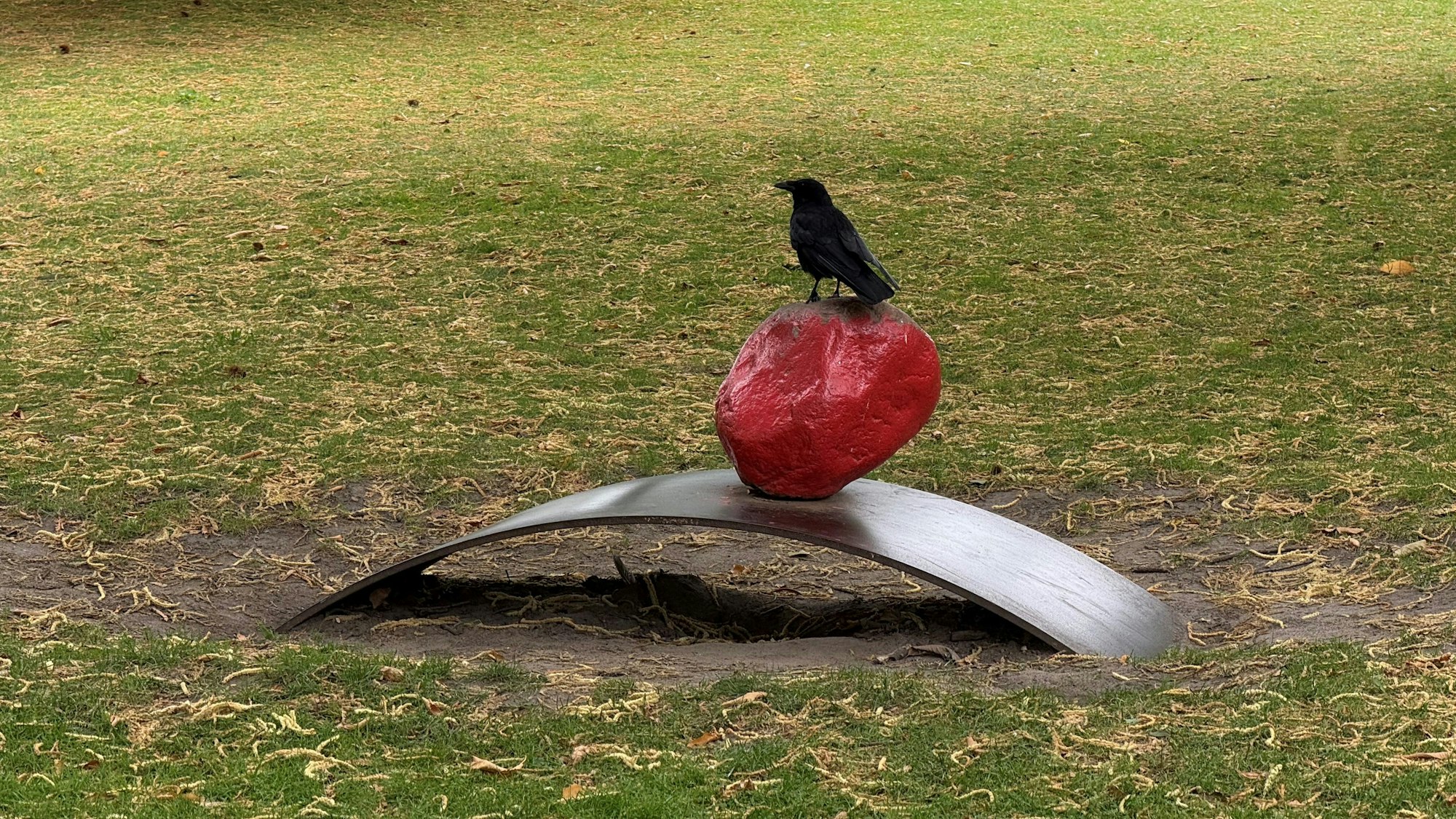 Vogel auf einem Kunstwerk. Die Abstimmung läuft bis 20. Oktober 2025.