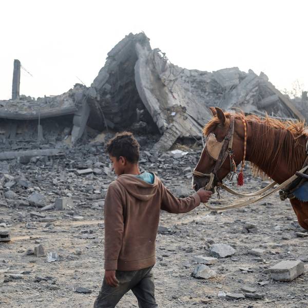 Ein palästinensischer Junge führt ein Pferd durch Trümmer in Gaza. (Archivbild)