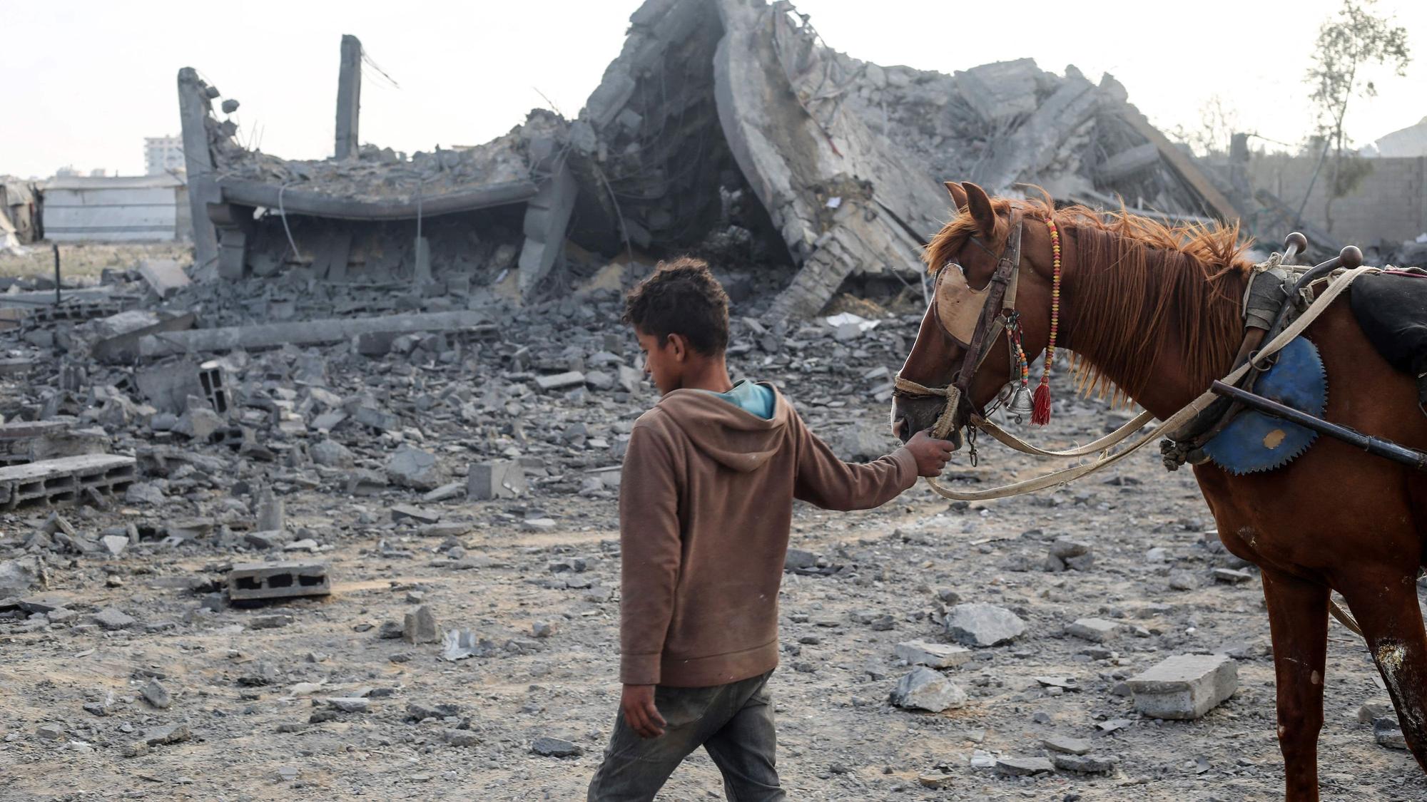 Ein palästinensischer Junge führt ein Pferd durch Trümmer in Gaza. (Archivbild)