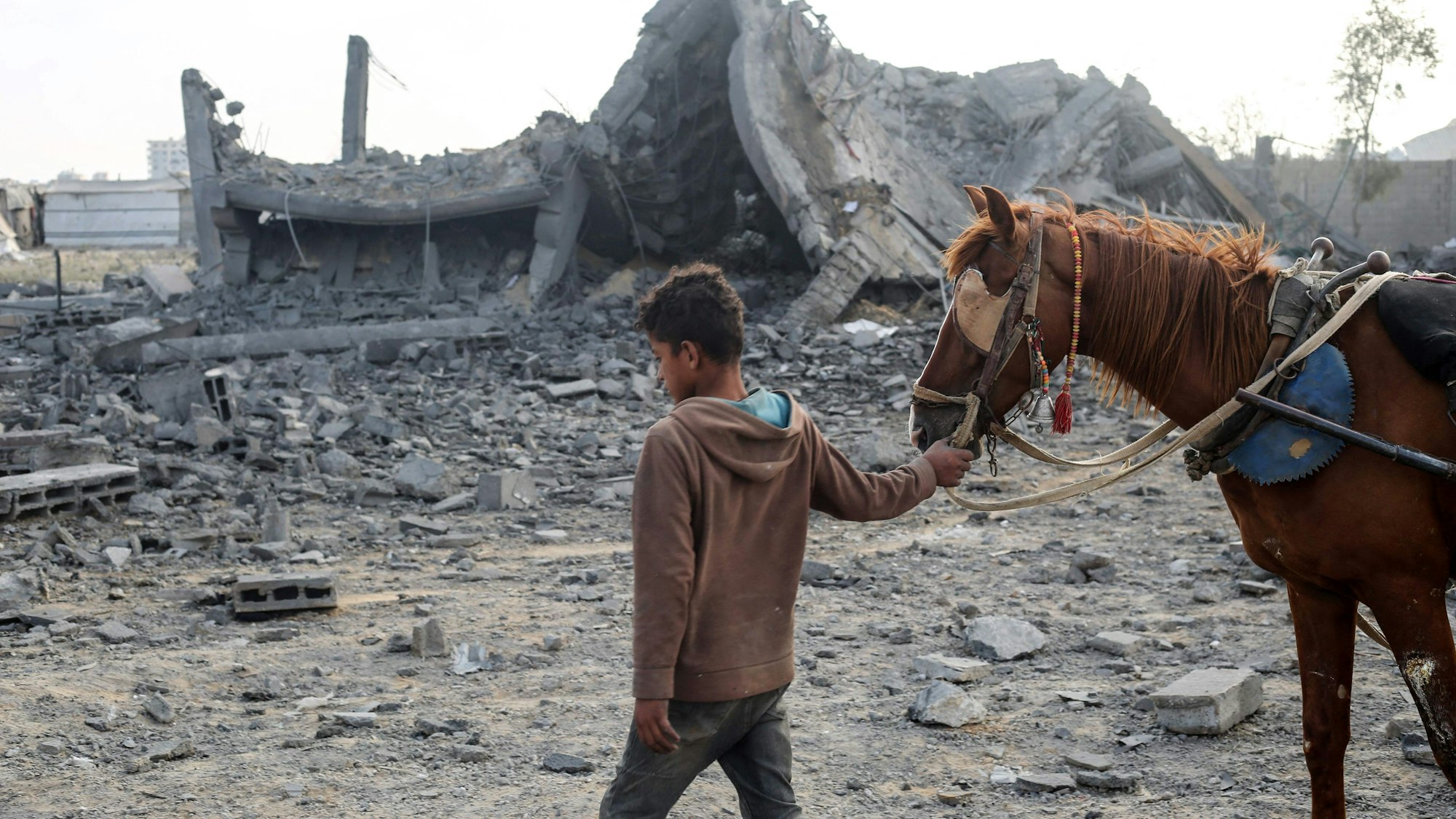 Ein palästinensischer Junge führt ein Pferd durch Trümmer in Gaza. (Archivbild)